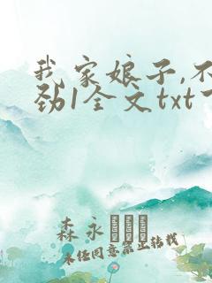 我家娘子,不对劲1全文txt下载