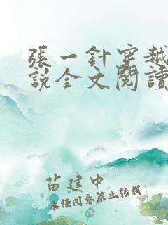 张一针穿越的小说全文阅读