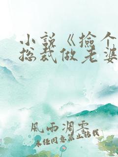 小说《捡个美女总裁做老婆》
