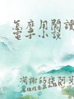 怎么用阅读器看电子小说