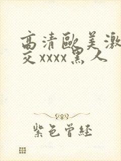 高清欧美激情猛交xxxx黑人