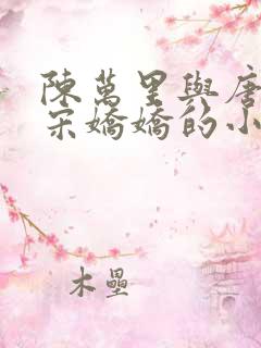 陈万里与唐嫣然宋娇娇的小说叫什么