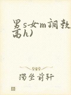 男s女m调教(高h)