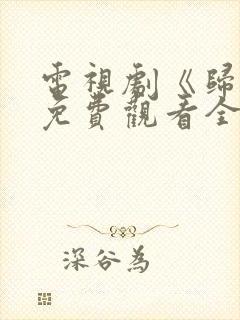 电视剧《归路》免费观看全集高清