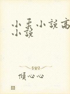 小柔小说高筱柔小说