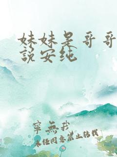 妹妹是哥哥的小说安纯
