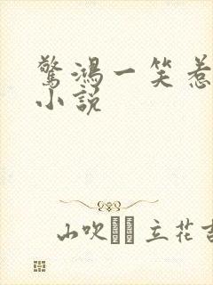 惊鸿一笑惹天娇小说