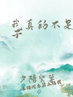 我真的不是女孩子