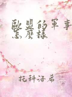 欧盟的军事实力怎么样