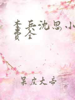 李兵沈思小说免费全