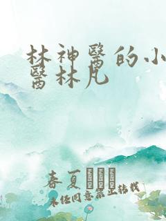 林神医的小说神医林凡