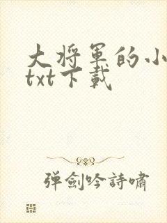 大将军的小神医txt下载