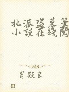 北派盗墓笔记 小说在线阅读