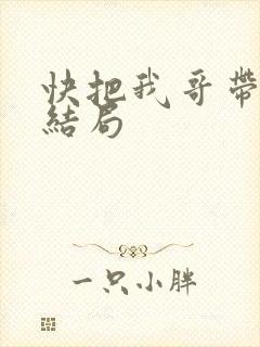 快把我哥带走 结局