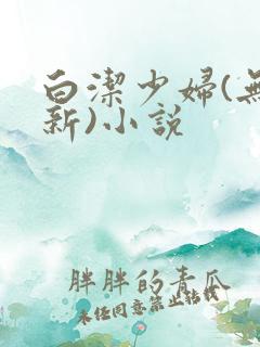 白洁少妇(无删新)小说
