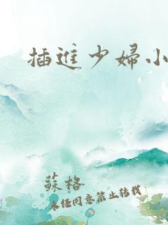 插进少妇小说