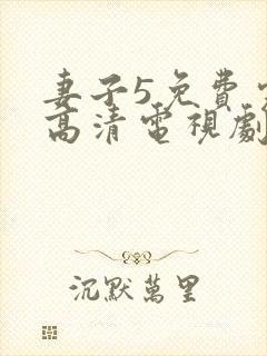 妻子5免费完整高清电视剧