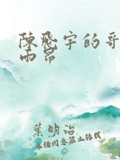 陈飞宇的哥哥陈雨昂