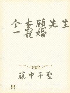 全本顾先生的第一宠婚