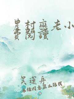 农村恋老小说免费阅读