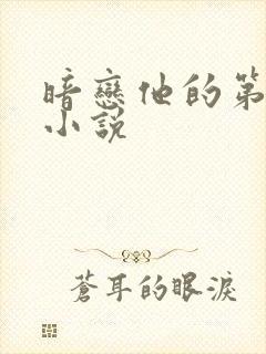 暗恋他的第十年小说