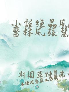 小说绝品风流狂医林风张慧正版
