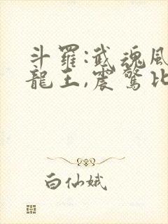 斗罗:武魂风暴龙王,震惊比比东