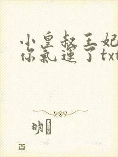 小皇叔王妃又薅你气运了txt