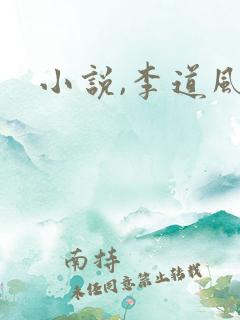 小说,李道风