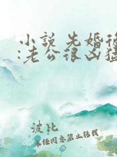 小说 先婚后爱:老公很凶猛