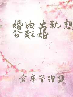 婚内出轨想跟老公离婚