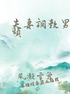 夫妻调教男奴视频