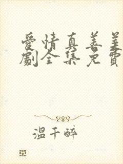 爱情真善美电视剧全集免费观看高清
