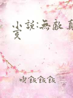 小说:无敌真寂寞