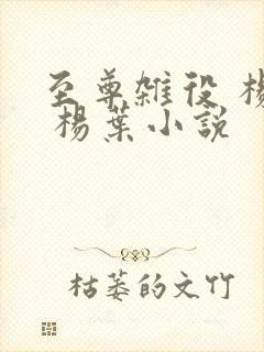 至尊杂役 杨叶 杨叶小说
