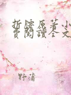 折腰原著小说免费阅读全文未删减