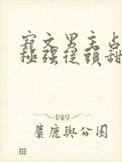 宠文男主占有欲极强从头甜到尾