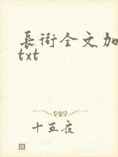 长街全文加番外txt