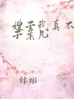 嫂子我真不是傻子叶凡