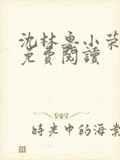 沈林鲁小荣全文免费阅读