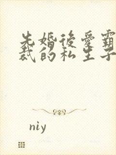 先婚后爱霸道总裁的私生子
