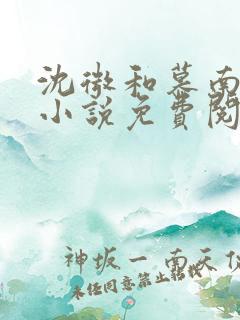 沈微和慕南深的小说免费阅读
