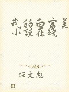我的白富美老婆小说在线