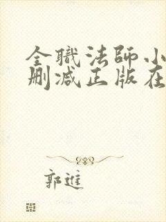 全职法师小说无删减正版在线阅读