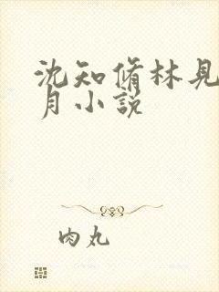 沈知修林见微江月小说