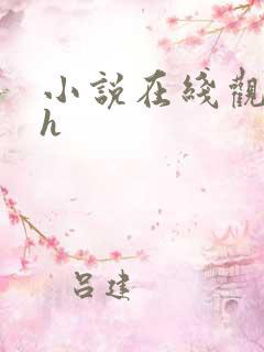 小说在线观看高h