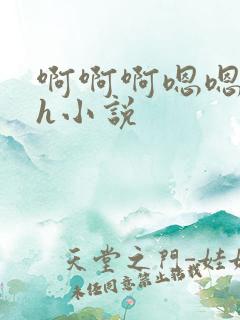啊啊啊嗯嗯嗯高h小说