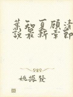叶知夏顾清淮小说最新章节免费阅读