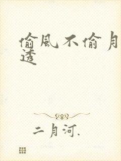 偷风不偷月 剧透