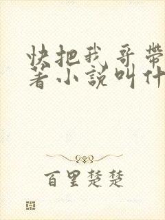 快把我哥带走原著小说叫什么